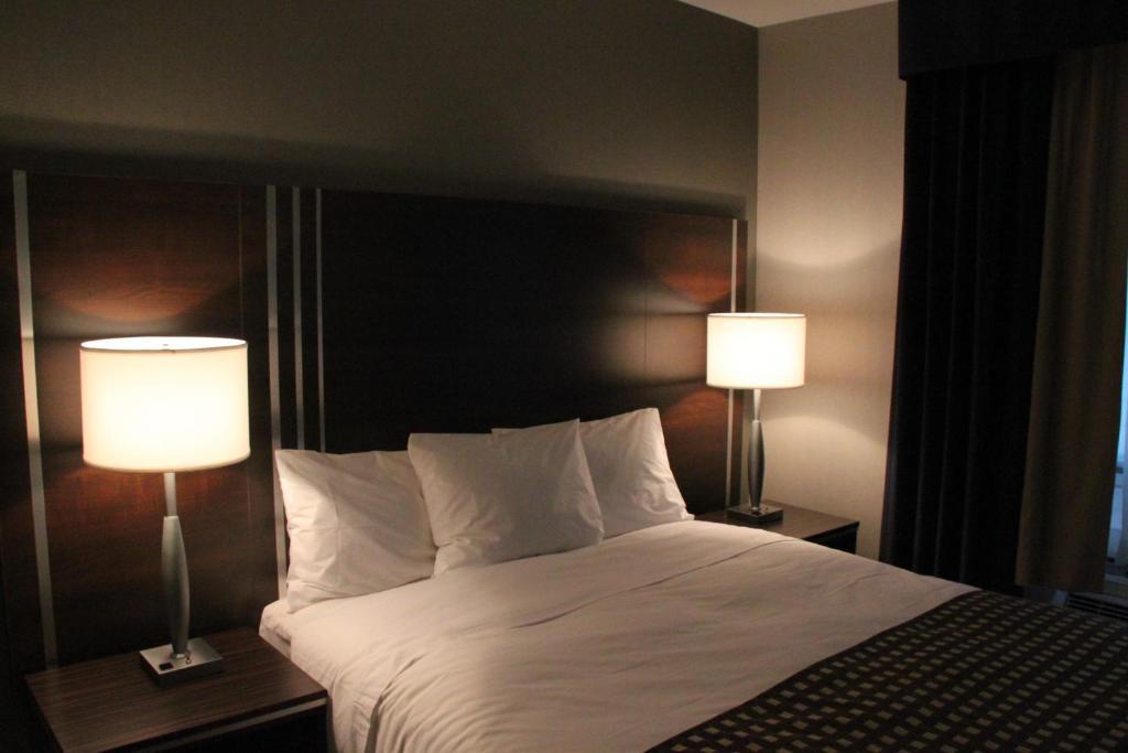 Comfort Inn Toronto City Centre المظهر الخارجي الصورة
