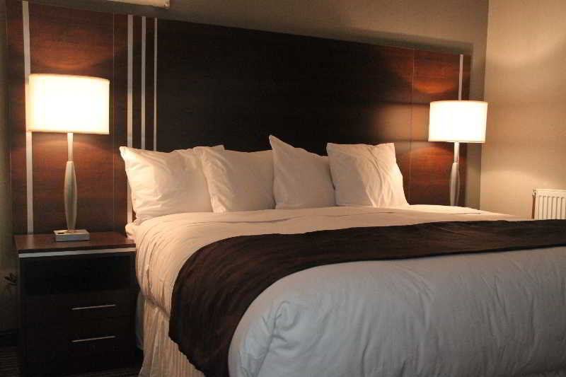 Comfort Inn Toronto City Centre المظهر الخارجي الصورة