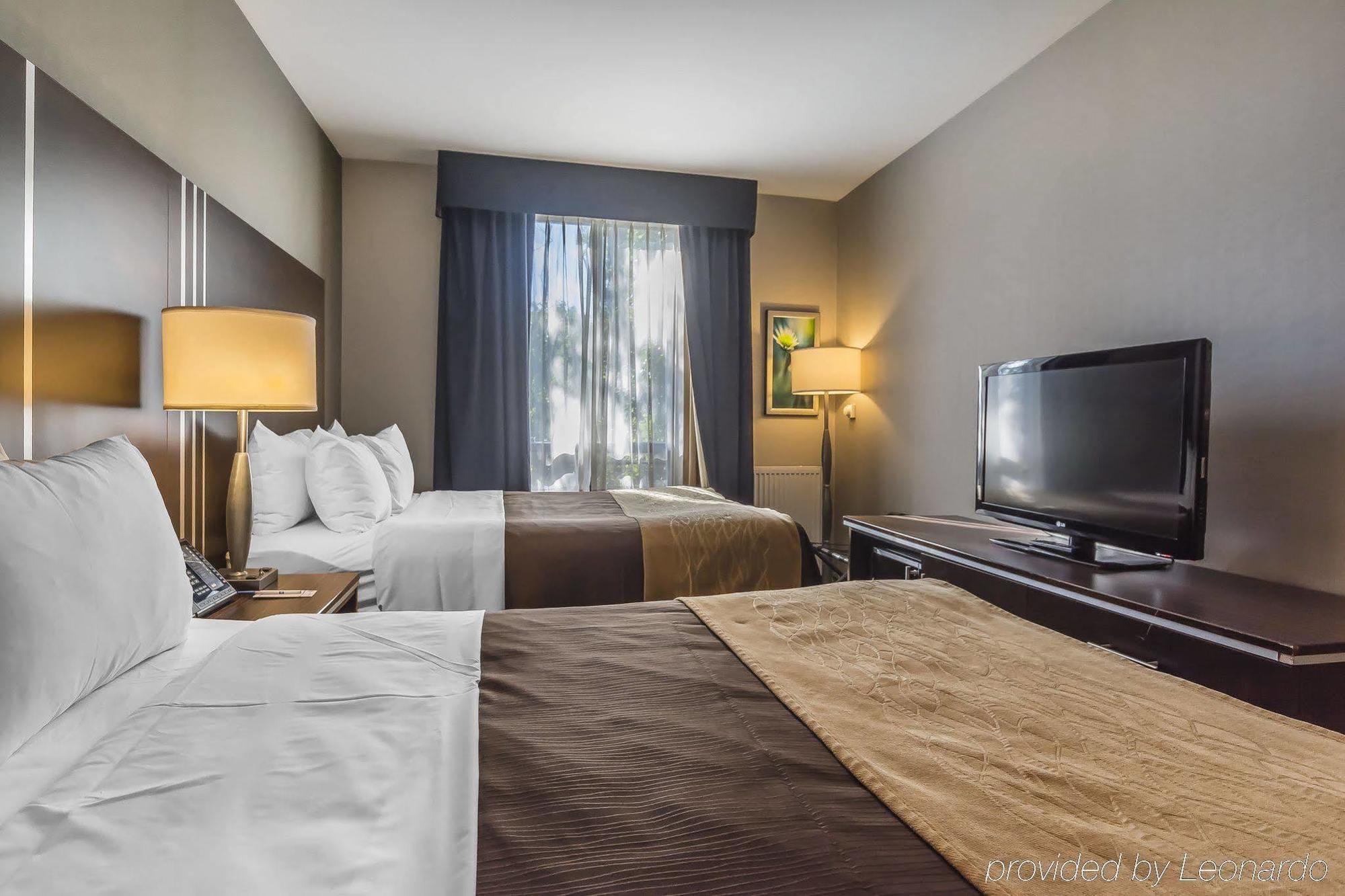 Comfort Inn Toronto City Centre المظهر الخارجي الصورة